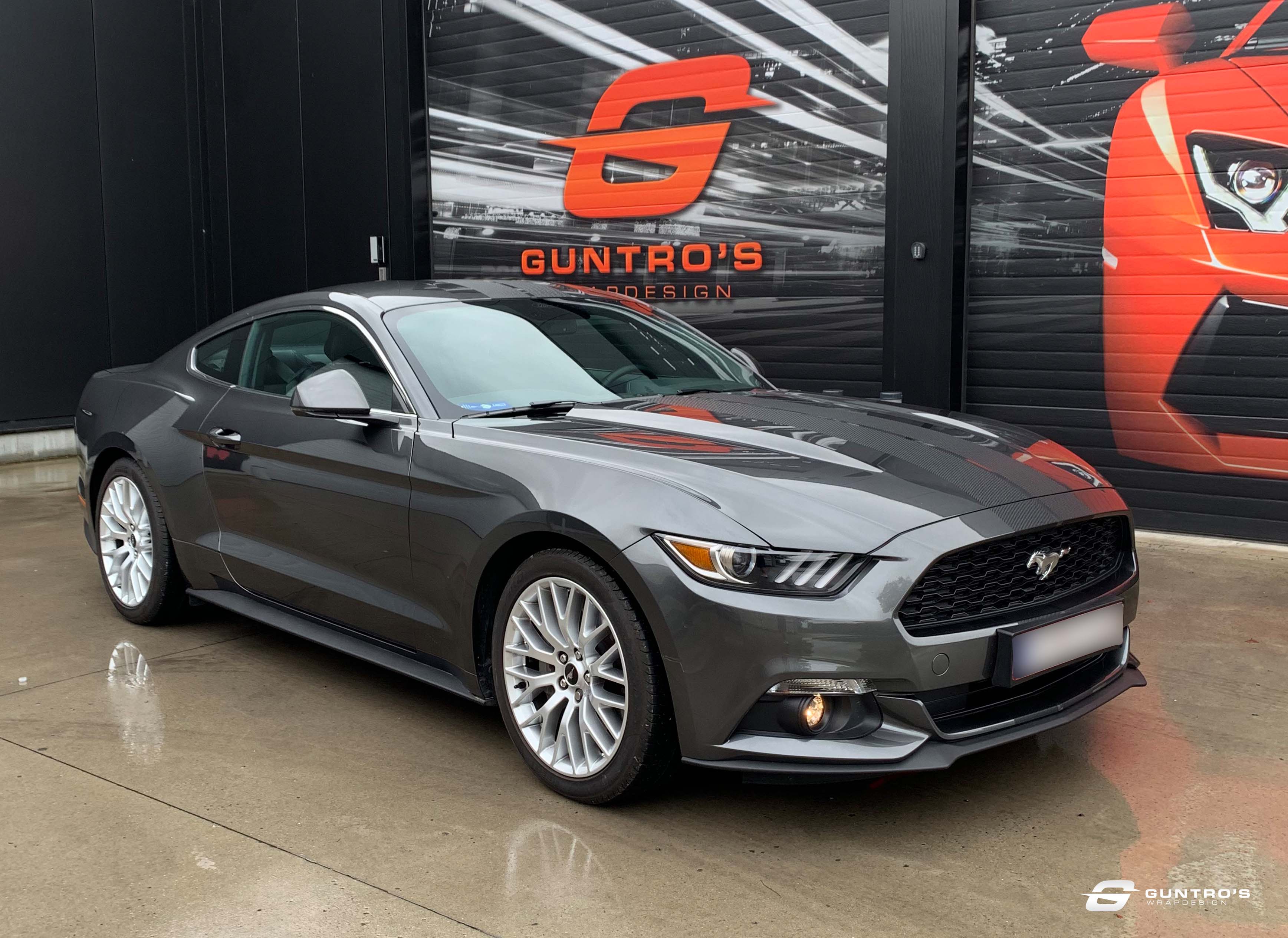 ACCENT STRIPING MUSTANG