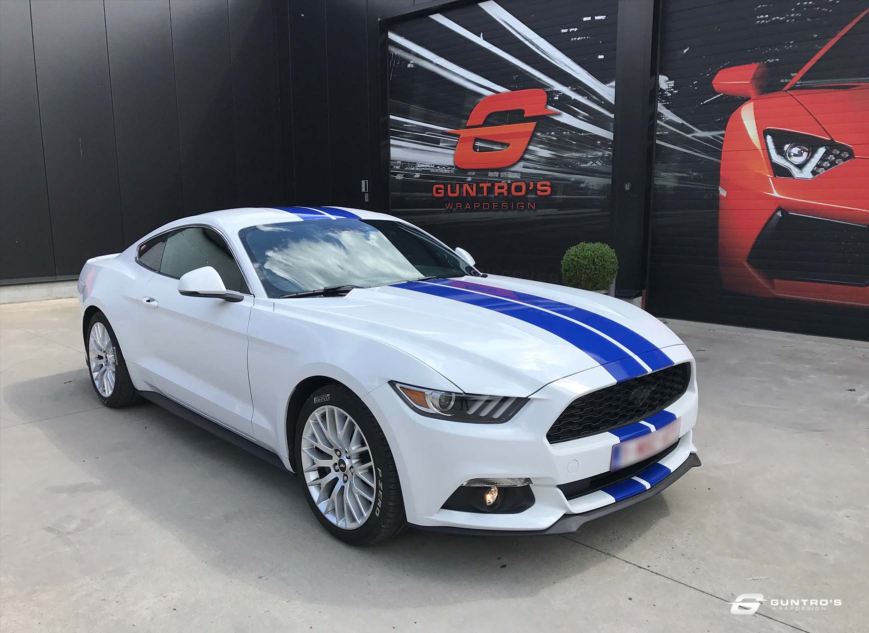 ACCENT STRIPING FORD MUSTANG