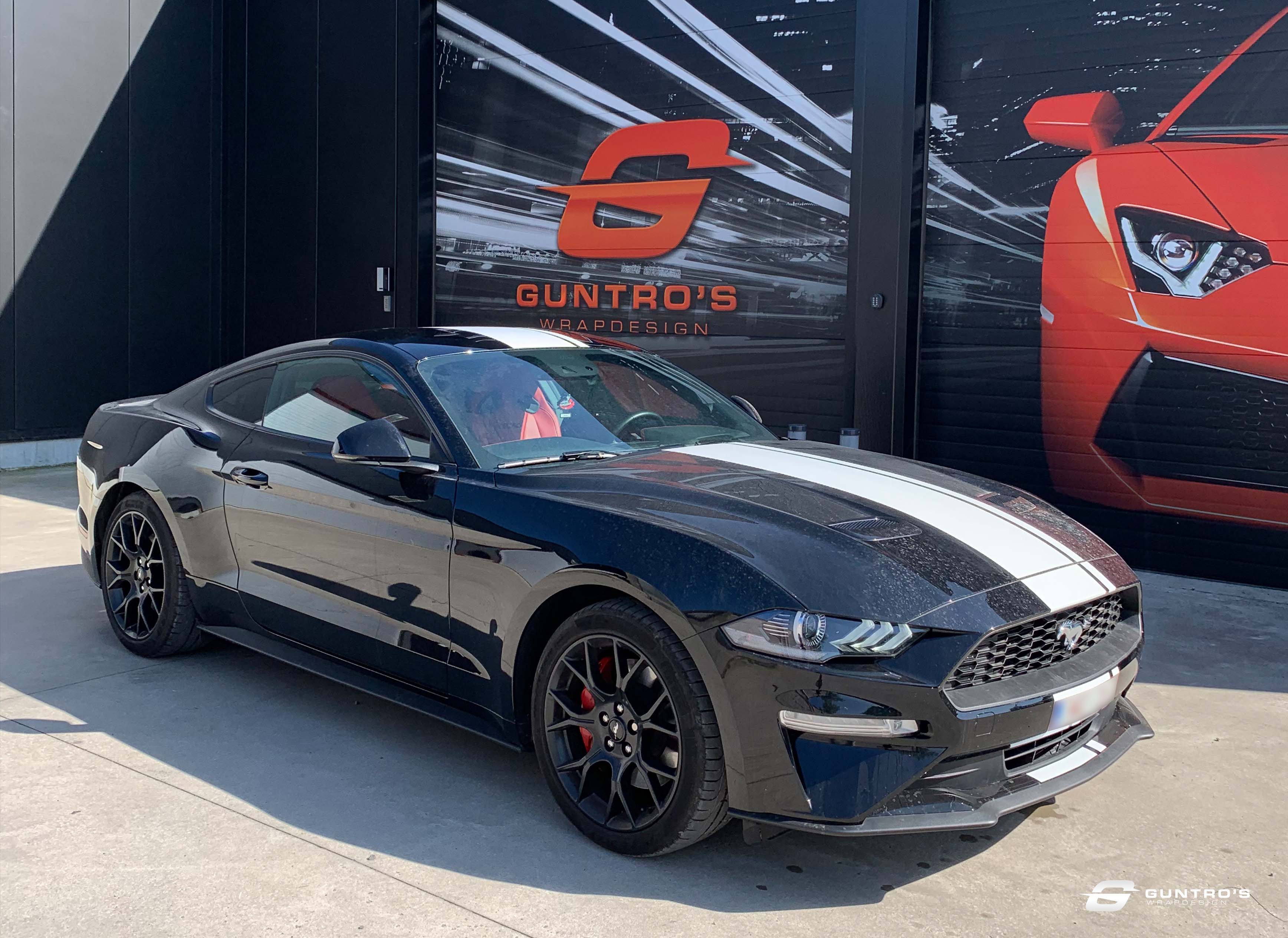 ACCENT STRIPING FORD MUSTANG